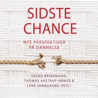 : Sidste chance : nye perspektiver på dannelse