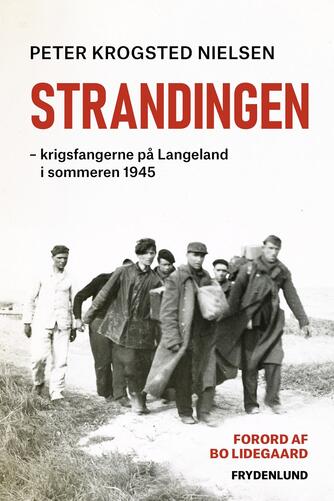 Peter Krogsted Nielsen: Strandingen : krigsfangerne på Langeland i sommeren 1945