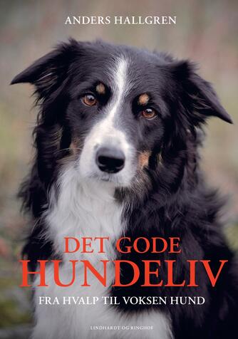 Anders Hallgren: Det gode hundeliv : fra hvalp til voksen hund