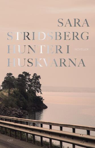 Sara Stridsberg: Hunter i Huskvarna : noveller
