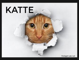 Hanne Guldberg Mikkelsen: Katte