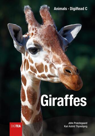 Kari Astrid Thynebjerg, John Nielsen Præstegaard: Giraffes