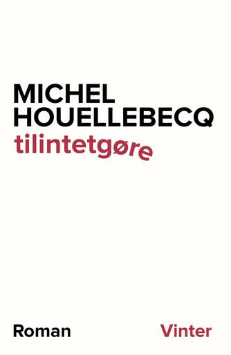 Michel Houellebecq: Tilintetgøre : roman