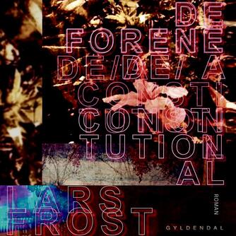 Lars Frost (f. 1973-10-07): De forenede : a constitutional