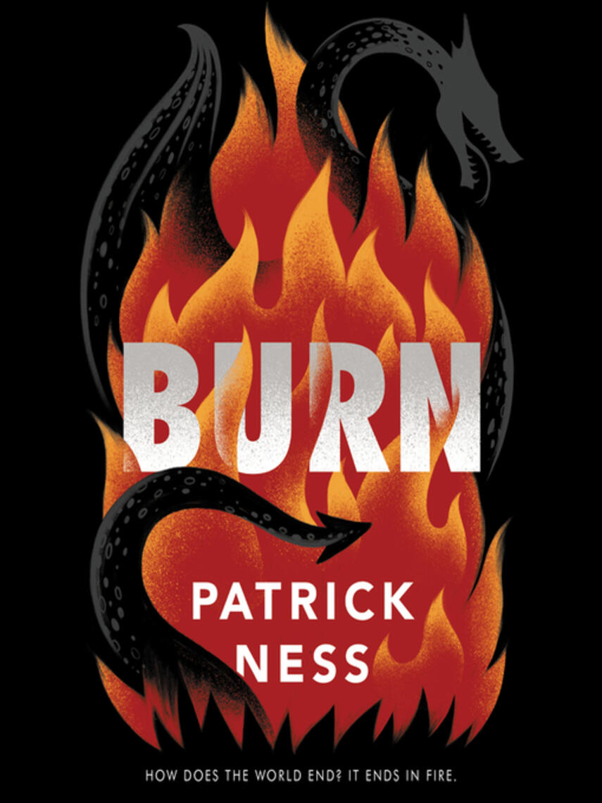 Patrick Ness: Burn