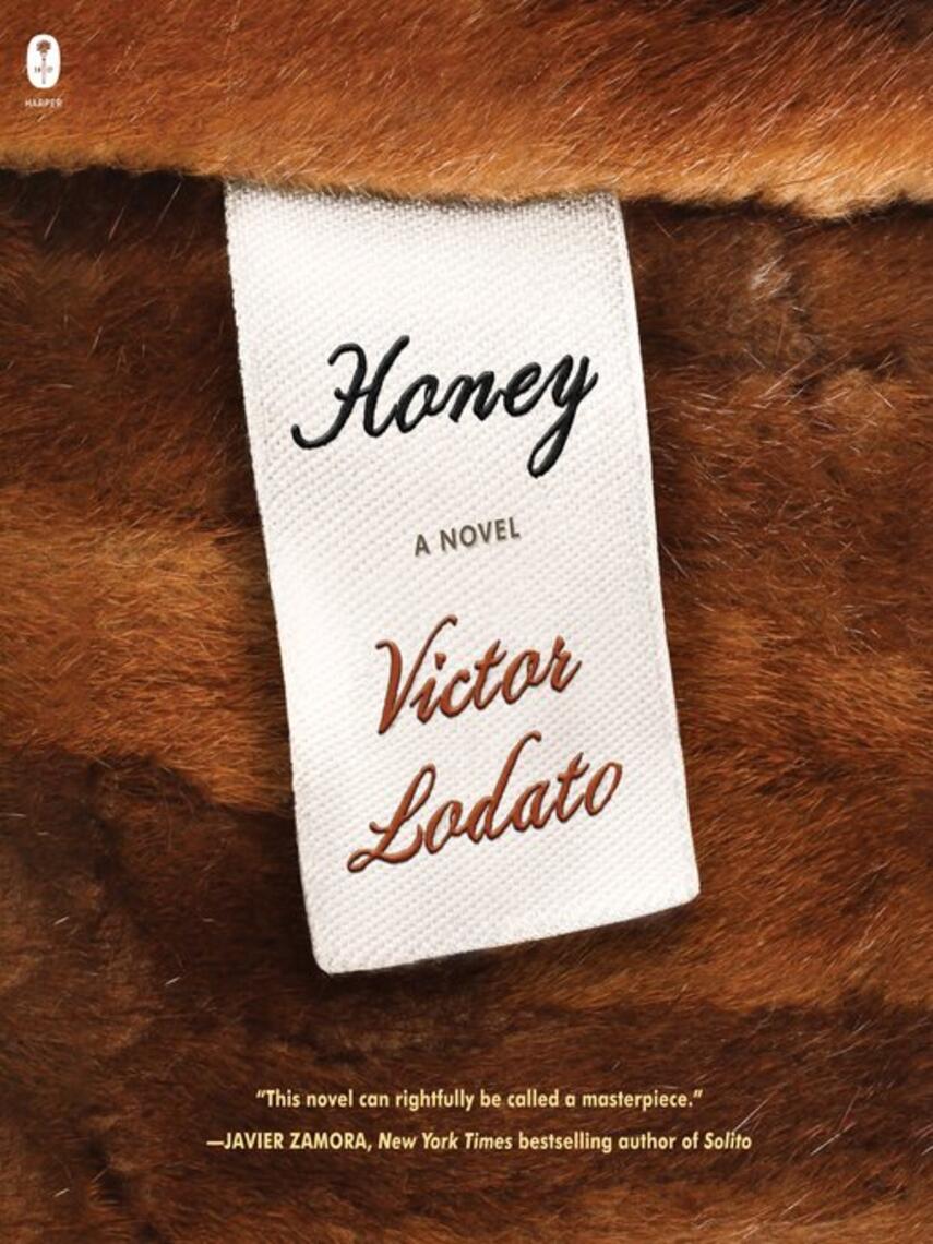 Victor Lodato: Honey : A Novel