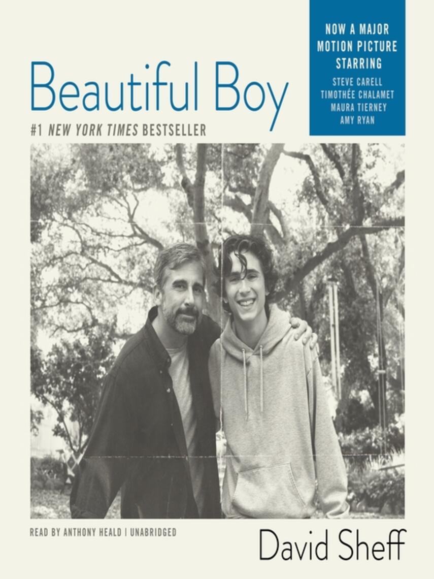 David Sheff: Beautiful Boy : A Father's Journey through His Son's Meth Addiction