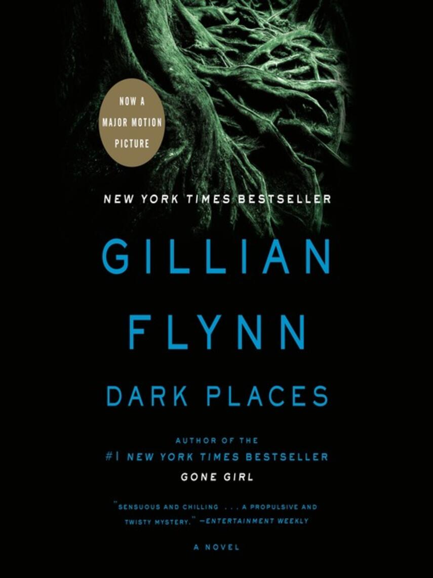 Gillian Flynn: Dark Places : A Novel