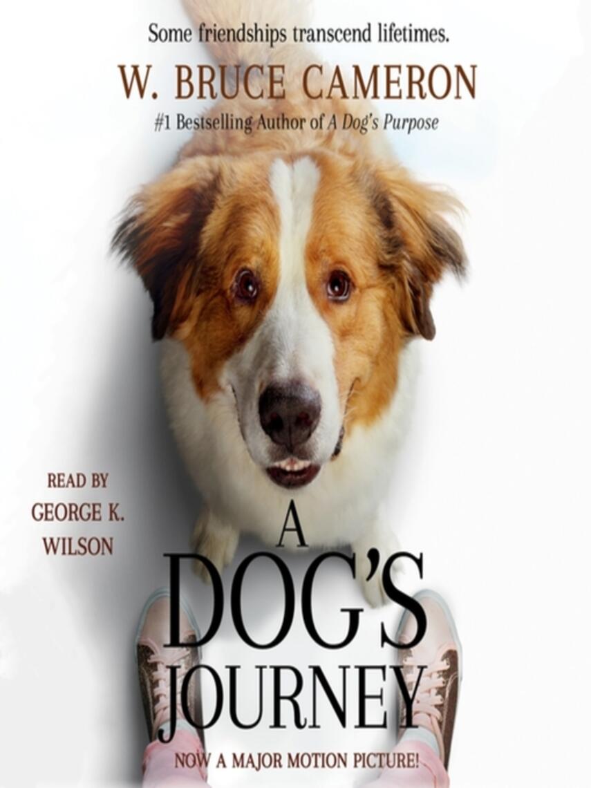W. Bruce Cameron: A Dog's Journey