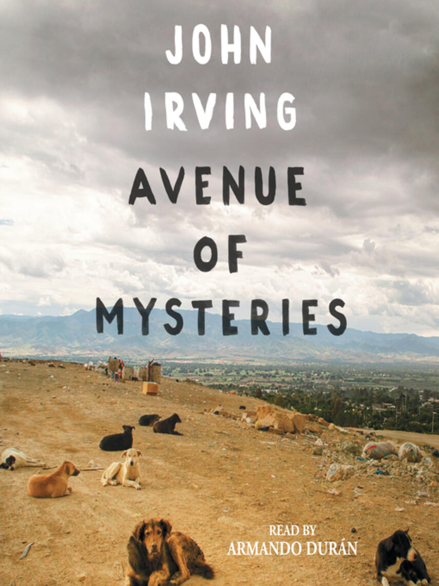 John Irving: Avenue of Mysteries