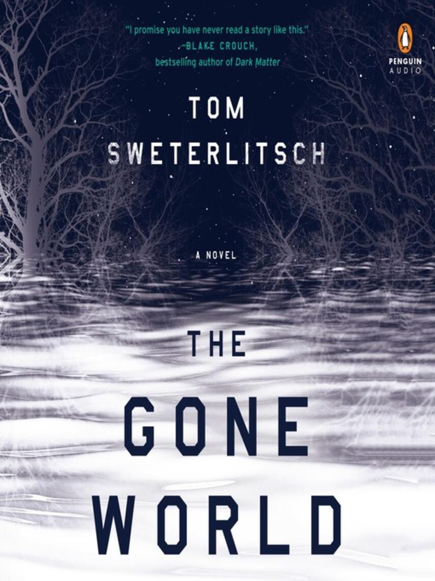 Tom Sweterlitsch: The Gone World