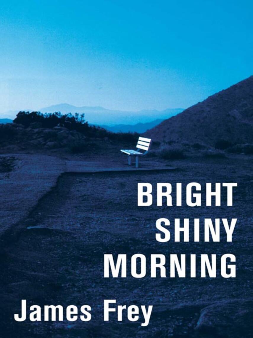 James Frey: Bright Shiny Morning