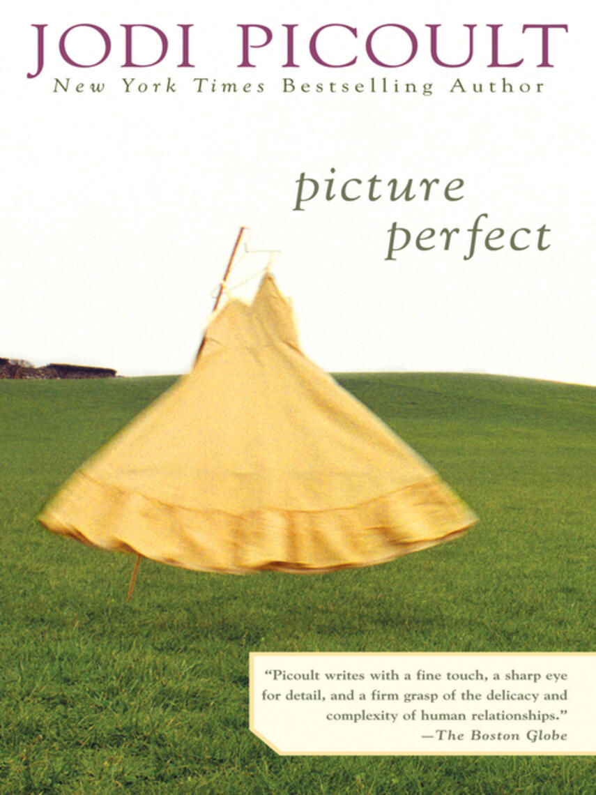 Jodi Picoult: Picture Perfect