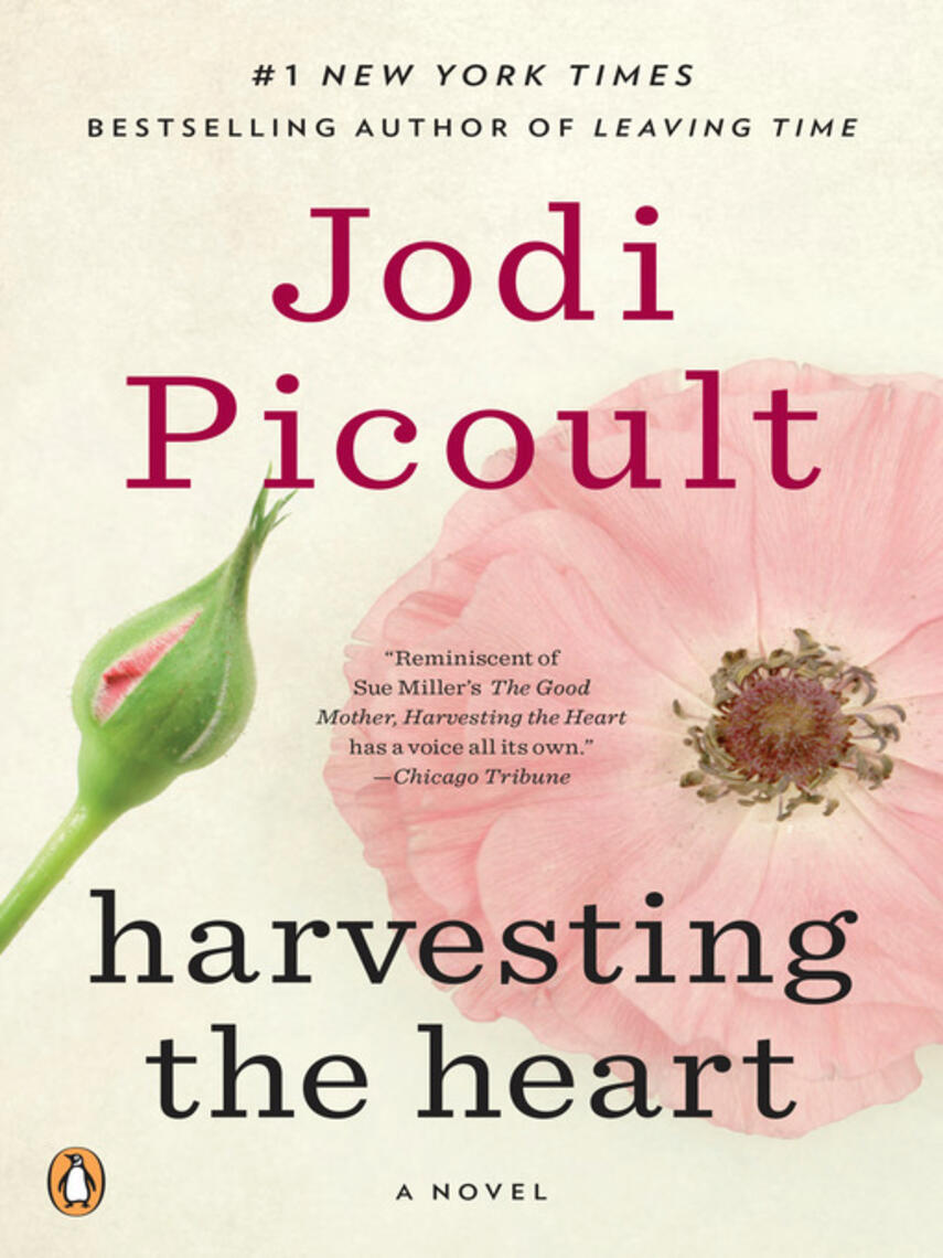 Jodi Picoult: Harvesting the Heart