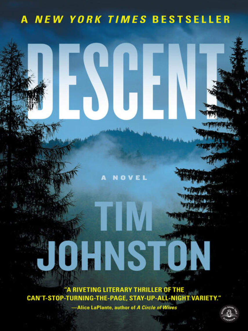 Tim Johnston: Descent : A Novel