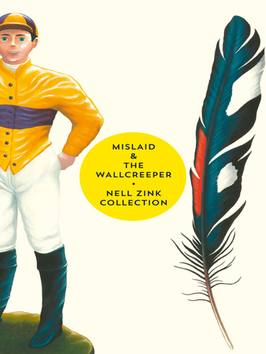 Nell Zink: Mislaid & the Wallcreeper : The Nell Zink Collection