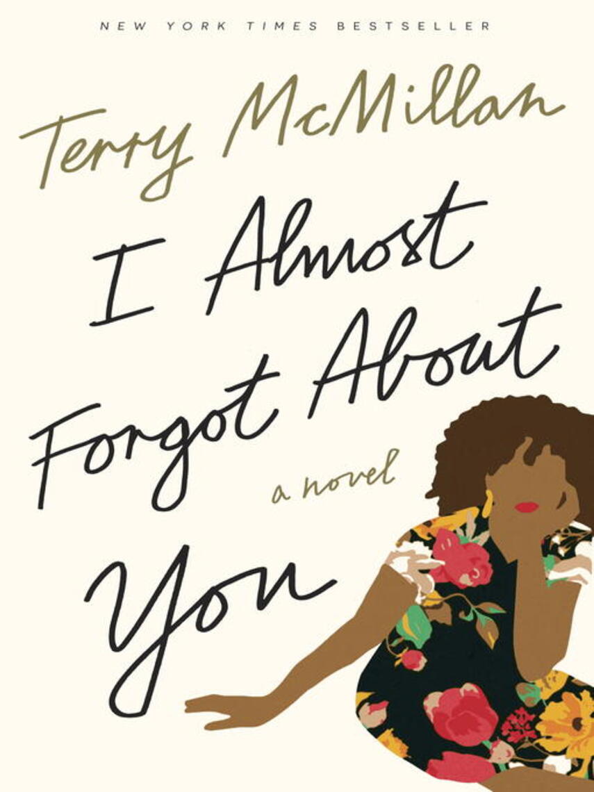 Terry McMillan: I Almost Forgot About You : A Novel