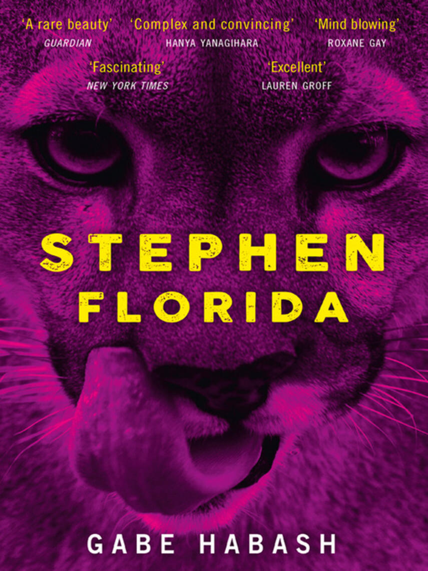 Gabe Habash: Stephen Florida