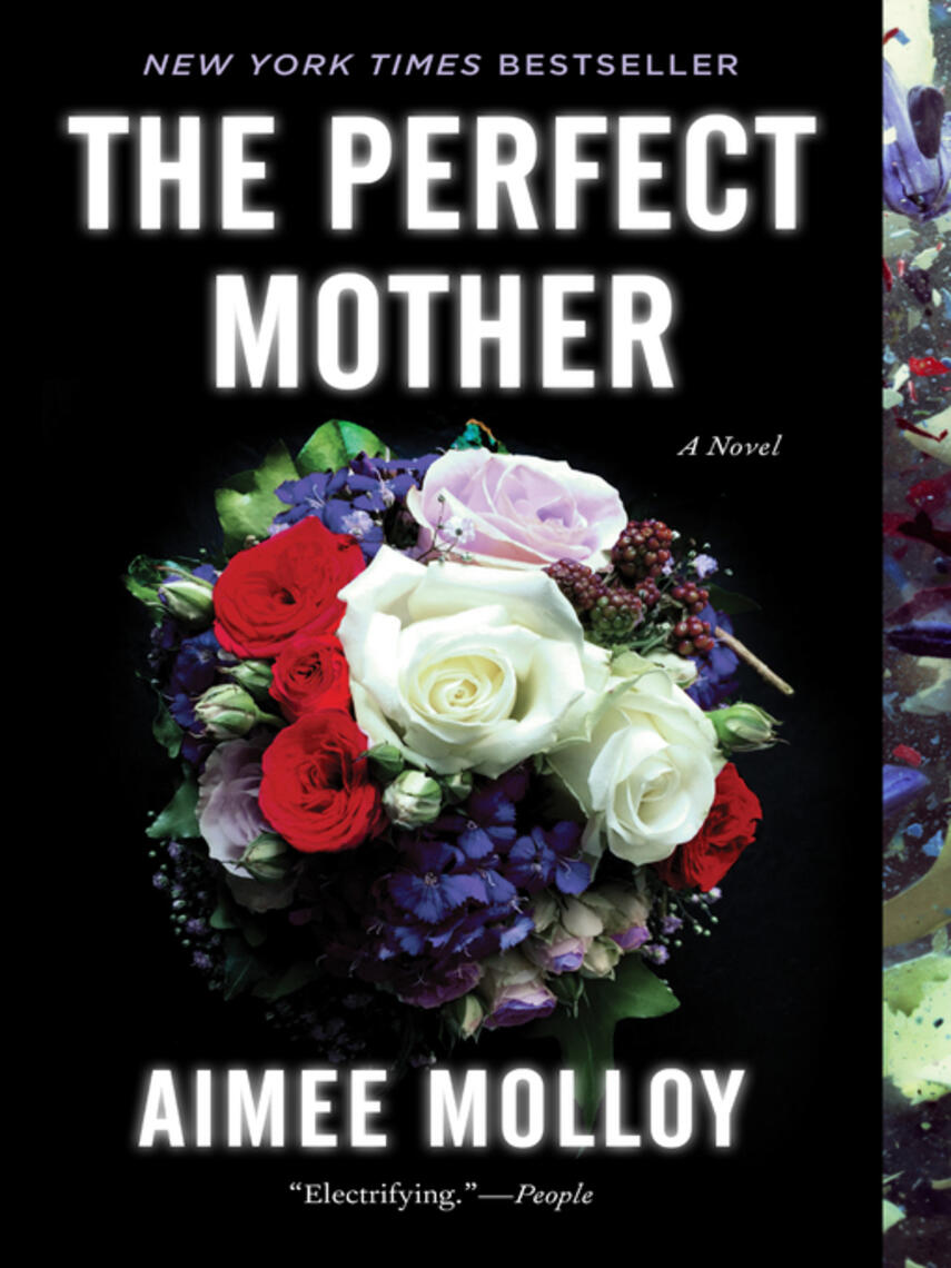 Aimee Molloy: The Perfect Mother : A Novel