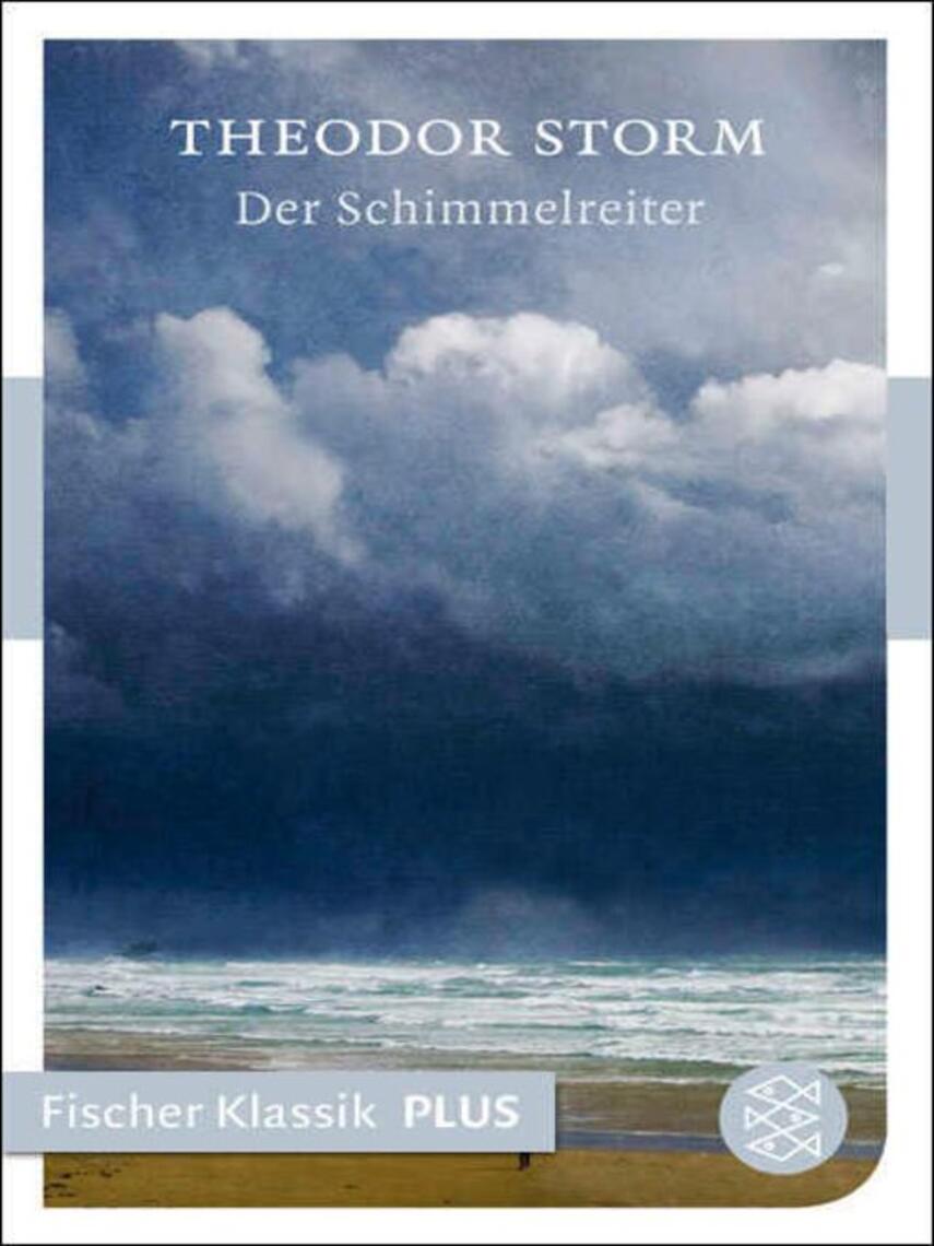 Theodor Storm: Der Schimmelreiter : Novelle