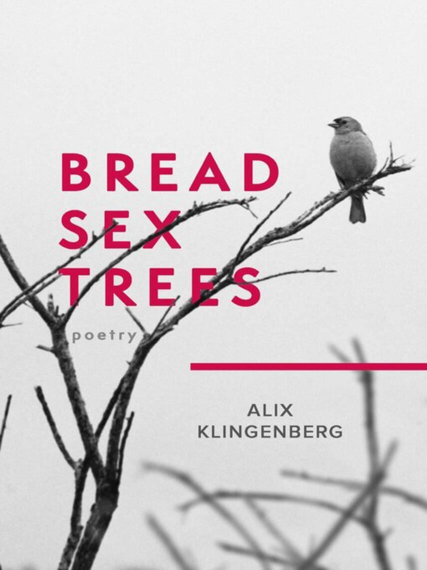 Alix Klingenberg: Bread Sex Trees : Poetry