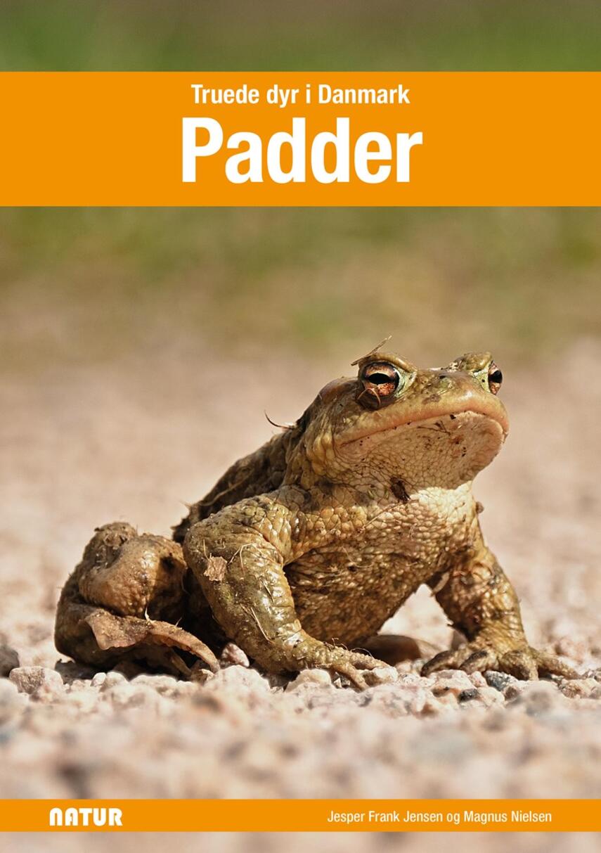 Magnus Nielsen (f. 1967-12-06), Jesper F. Jensen: Padder