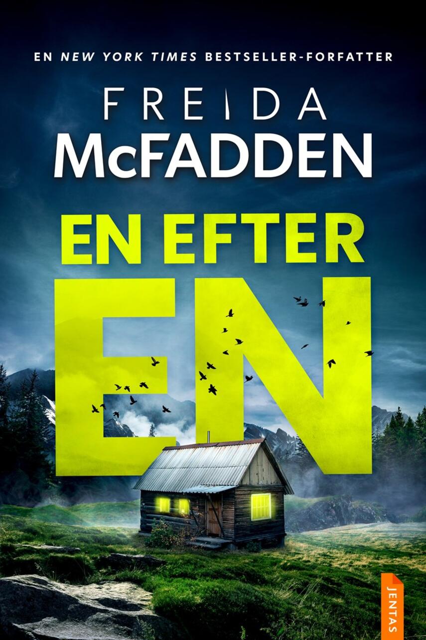 Freida McFadden: En efter en
