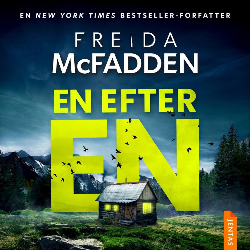 Freida McFadden: En efter en