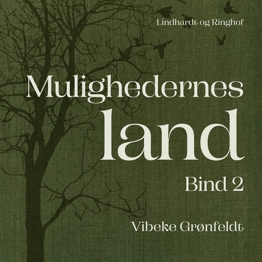 Vibeke Grønfeldt: Mulighedernes land. Bind 2
