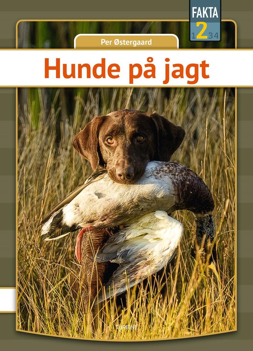 Per Østergaard (f. 1950): Hunde på jagt