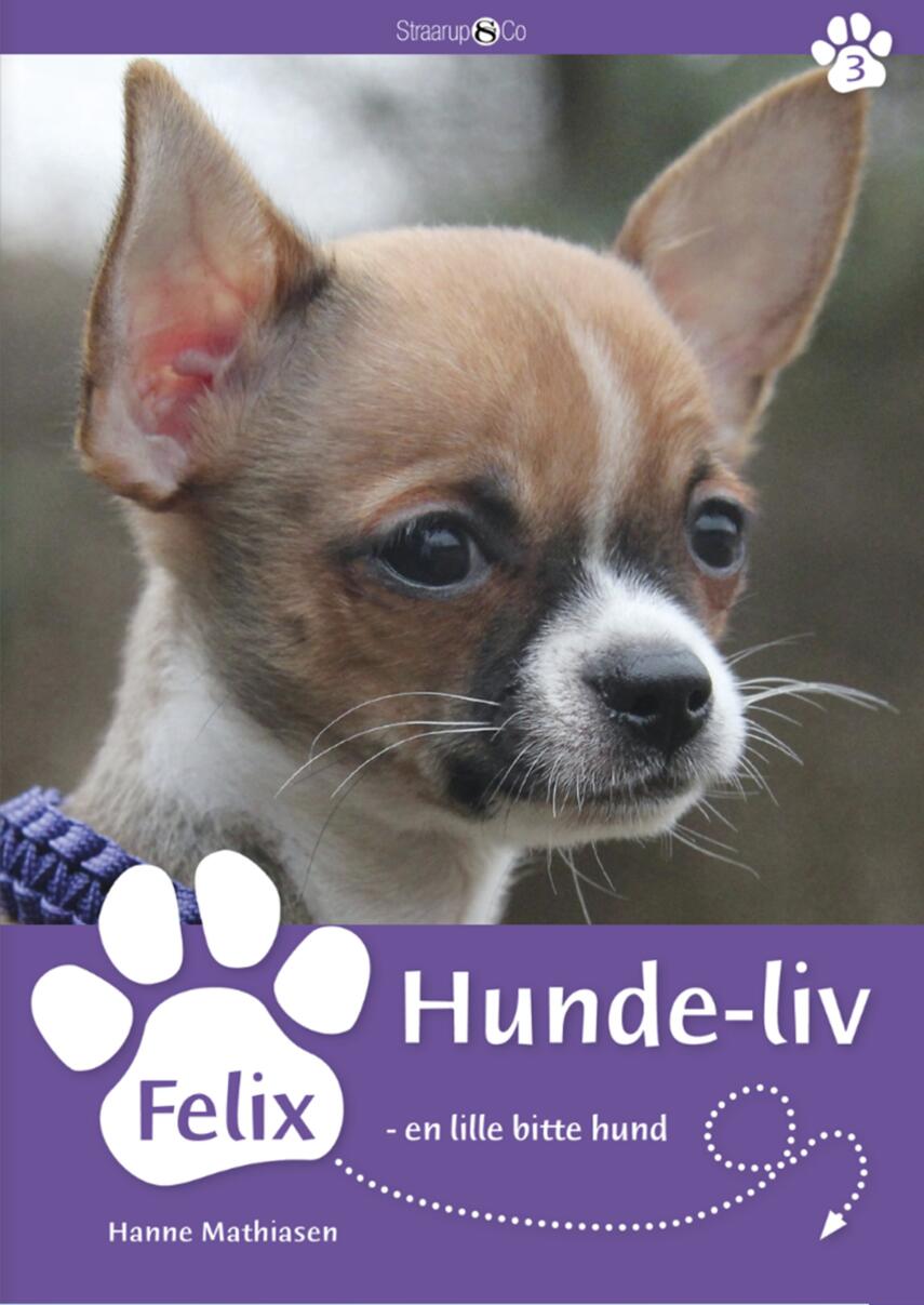 Hanne Mathiasen: Felix, en lille bitte hund