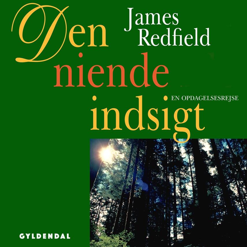 James Redfield: Den niende indsigt : en opdagelsesrejse (Ved Esben Hansen)