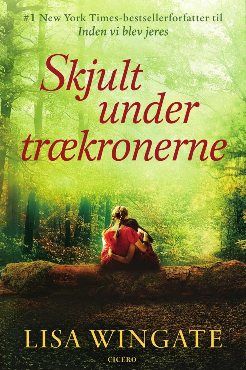 Lisa Wingate: Skjult under trækronerne