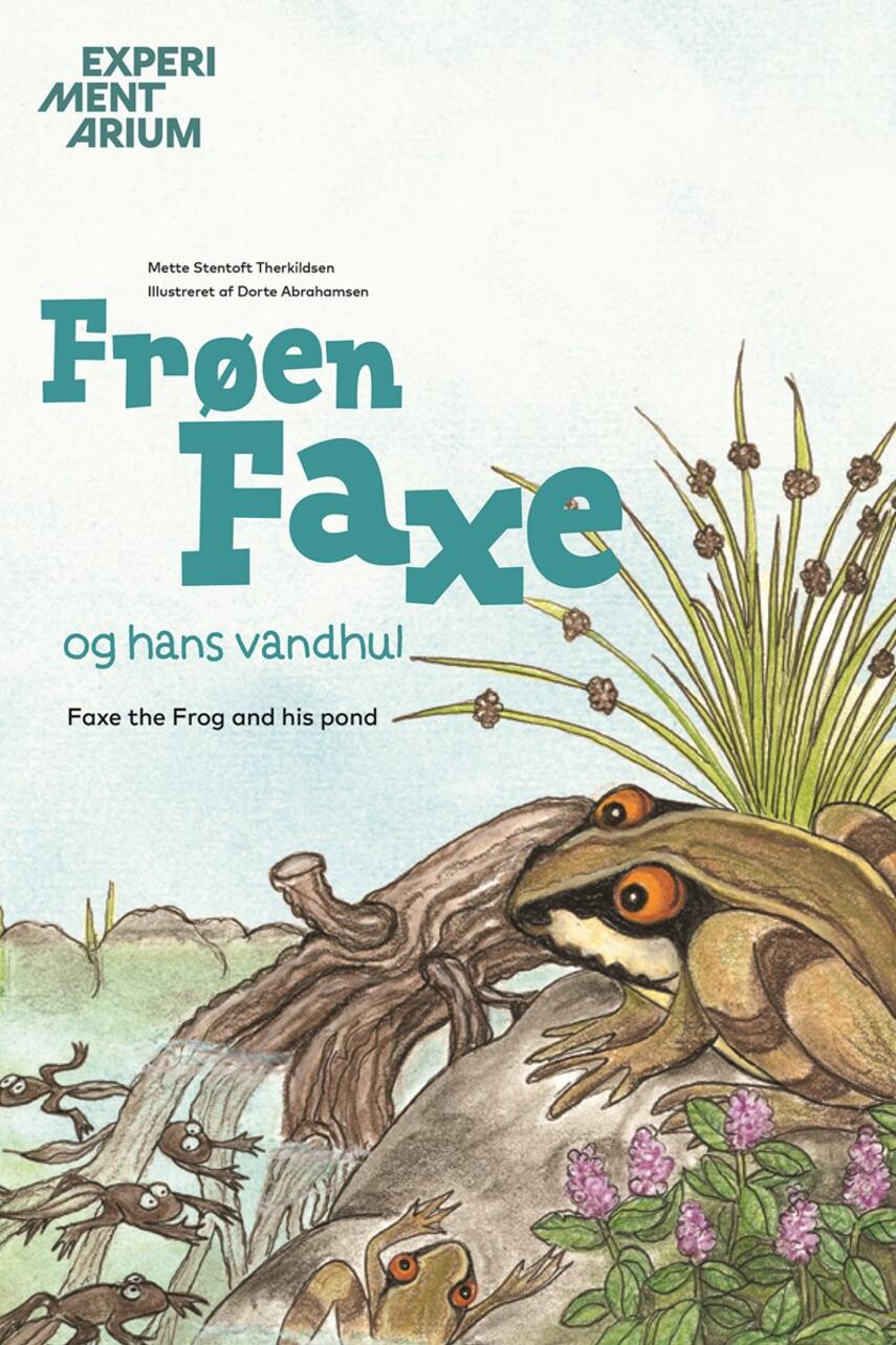 Mette Stentoft Therkildsen, Dorte Abrahamsen: Frøen Faxe og hans vandhul