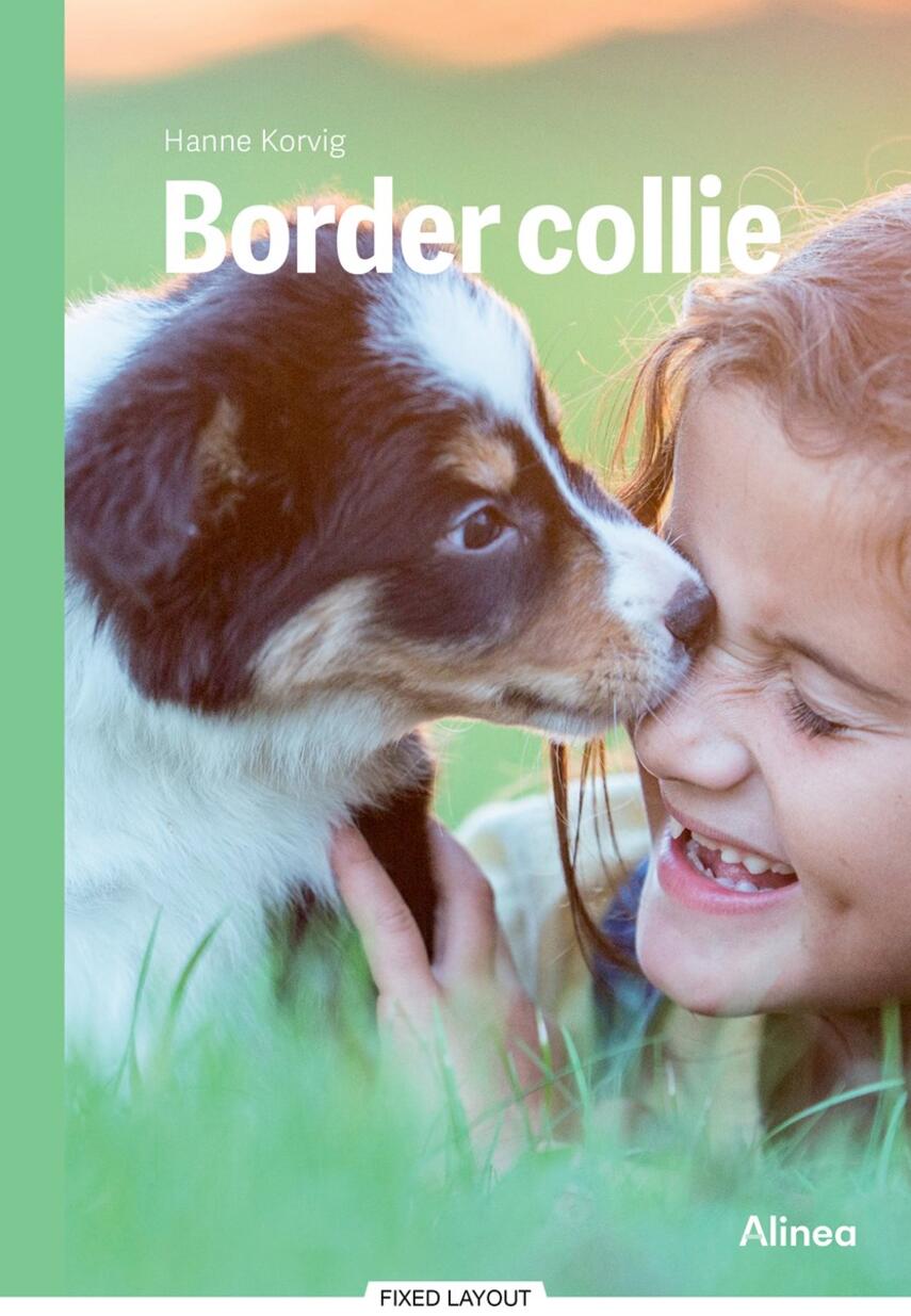 Hanne Korvig: Border collie