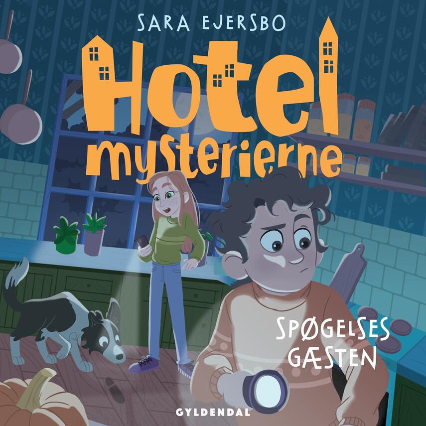 Sara Ejersbo: Hotelmysterierne - spøgelsesgæsten