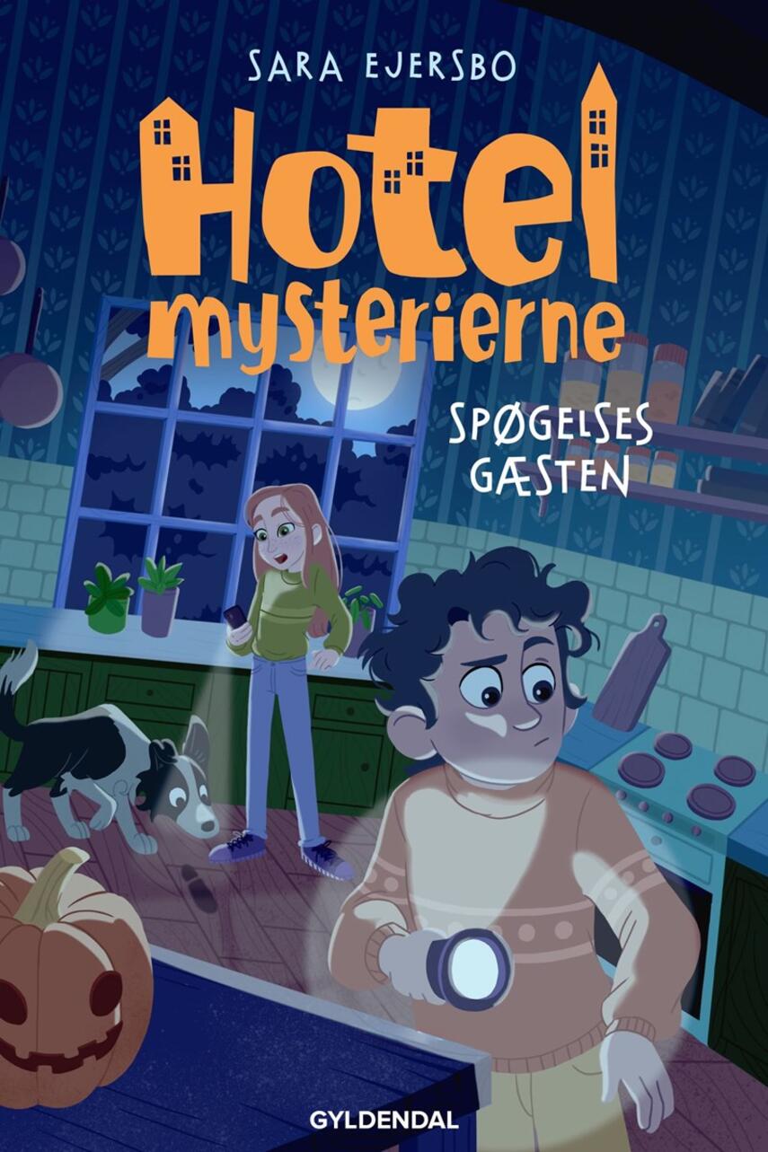 Sara Ejersbo: Hotelmysterierne - spøgelsesgæsten