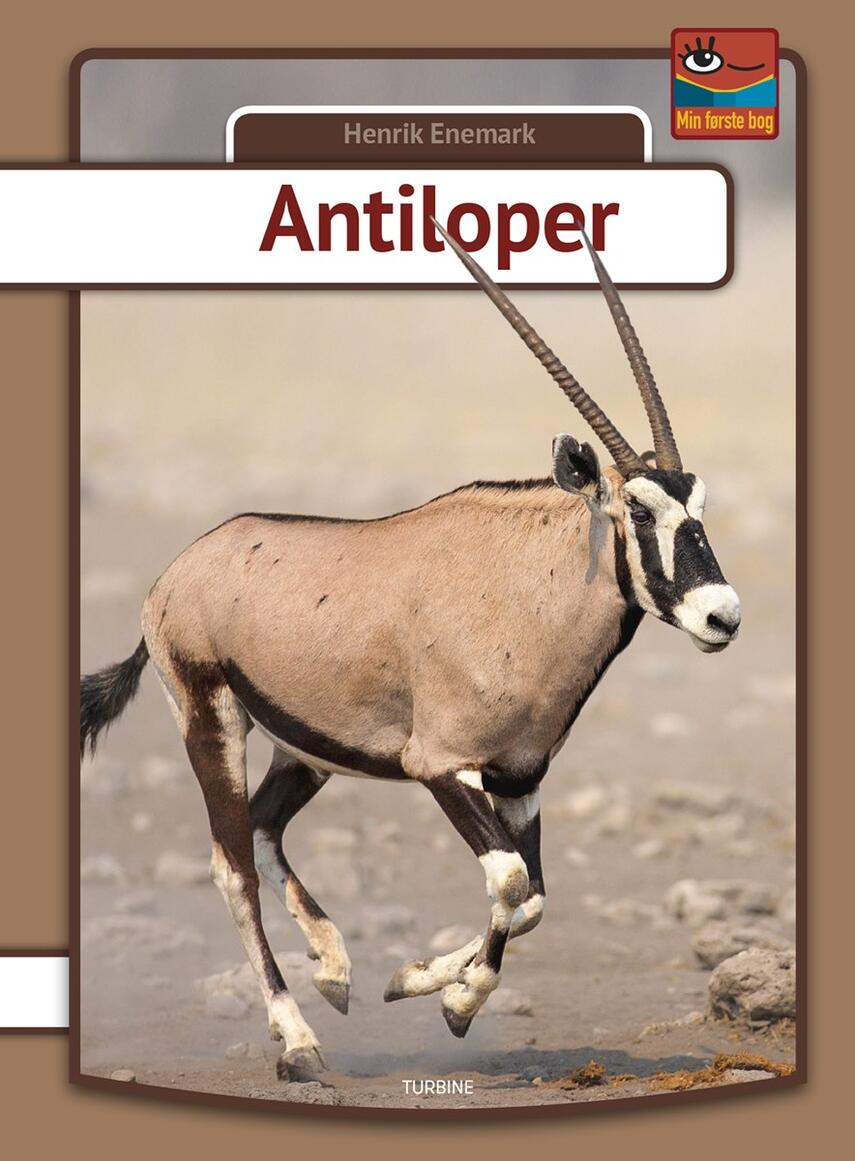 Henrik Enemark: Antiloper
