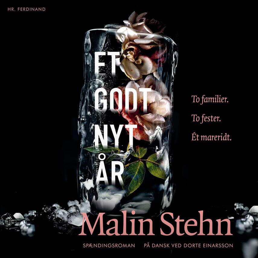 Malin Stehn: Et godt nyt år