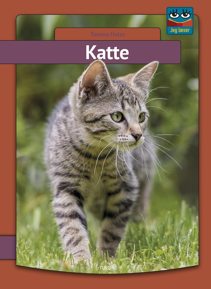 Tommy Heisz: Katte