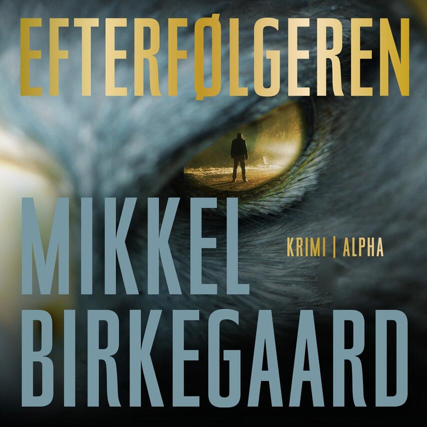 Mikkel Birkegaard: Efterfølgeren