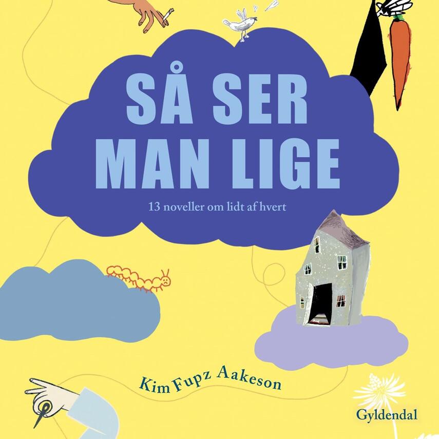 Kim Fupz Aakeson: Så ser man lige : 13 noveller om lidt af hvert