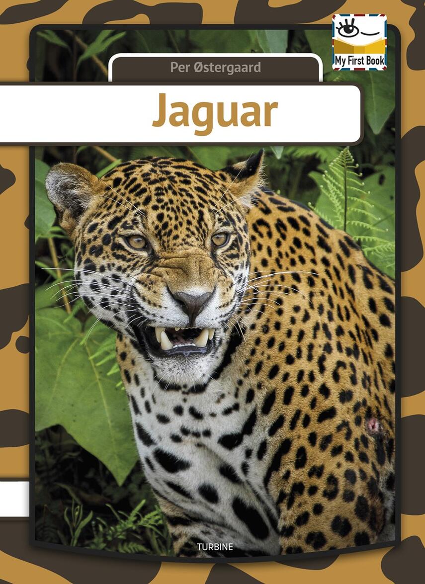 Per Østergaard (f. 1950): Jaguar