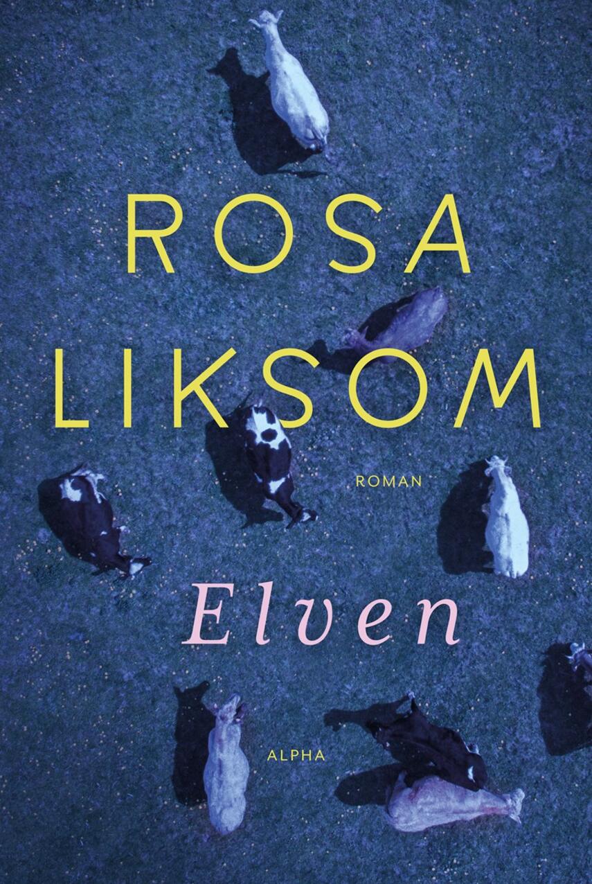 Rosa Liksom: Elven : roman
