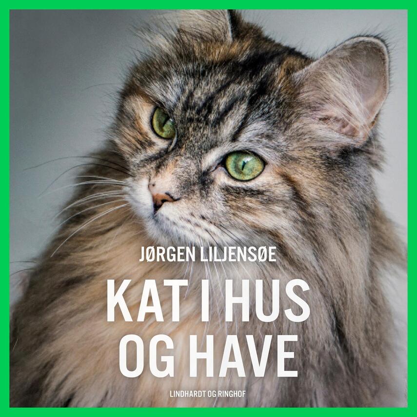 Jørgen Liljensøe: Kat i hus og have