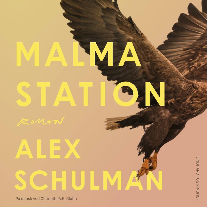 Alex Schulman: Malma station