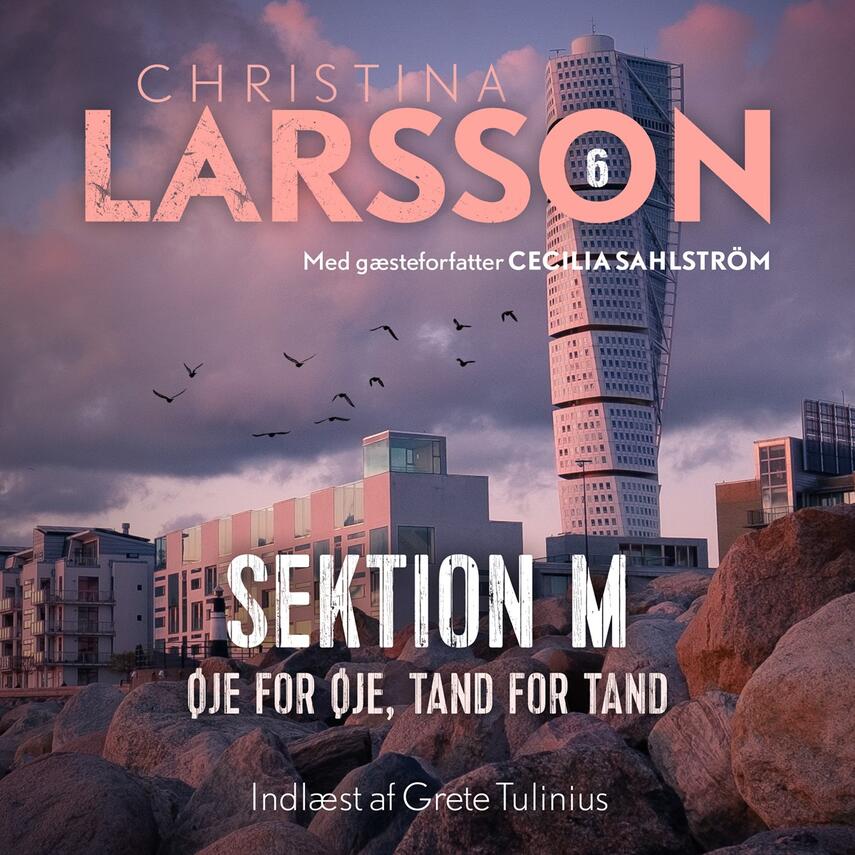 Christina Larsson (f. 1965), Cecilia Sahlström: Sektion M. Del 6, Øje for øje, tand for tand