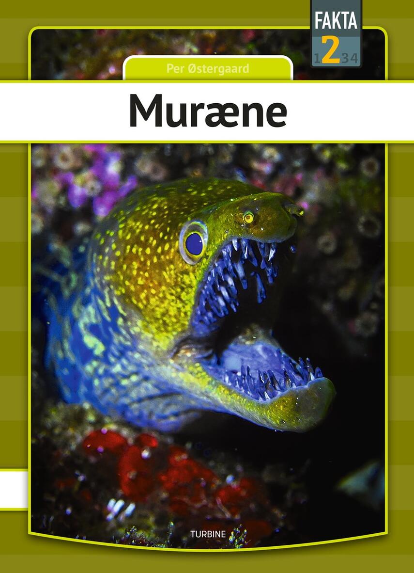 Per Østergaard (f. 1950): Muræne