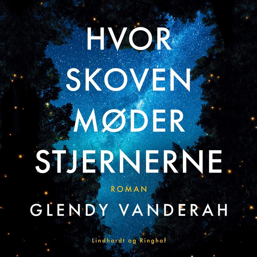 Glendy Vanderah: Hvor skoven møder stjernerne