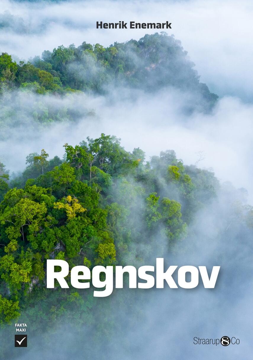 Henrik Enemark: Regnskov